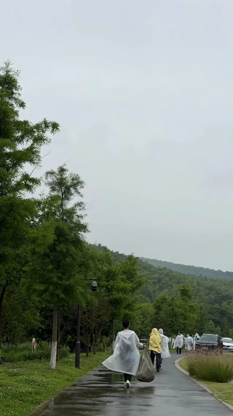 登高合影